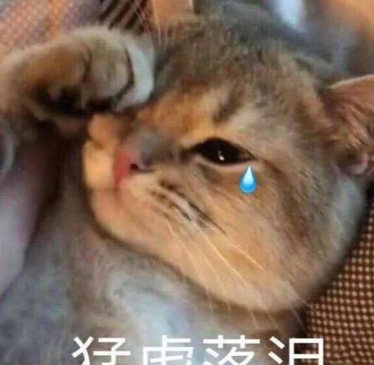 什么宠物不好养活 761dde5d64db46dbb1bb97591c7b5469.jpeg