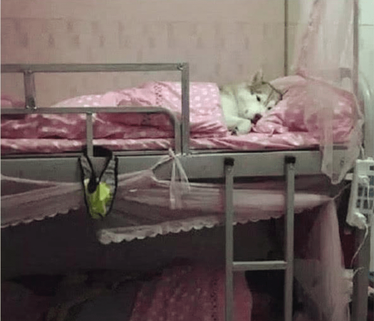 晚上的女生宿舍有多热 92055244599e4442832315eec6155112.png