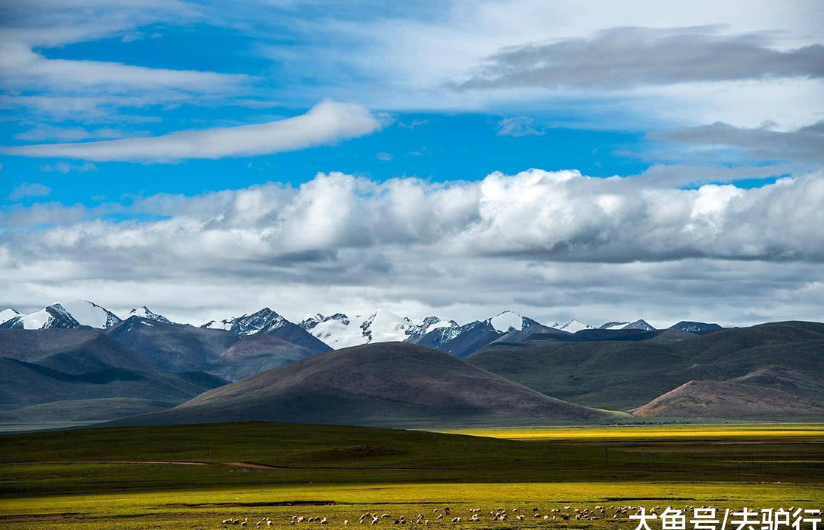 无论是再挑剔的游客,一到甘南都会忍不住爱上这座西部自然生态大州.