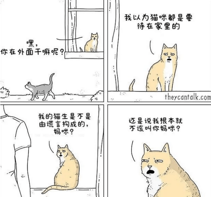小猫咪能有什么坏心思 画师用灵性漫画 绘制宠物会说什么话 鲨鱼