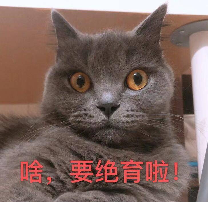 b5fd691409364ce6b2521979dd4f2e00.jpeg
