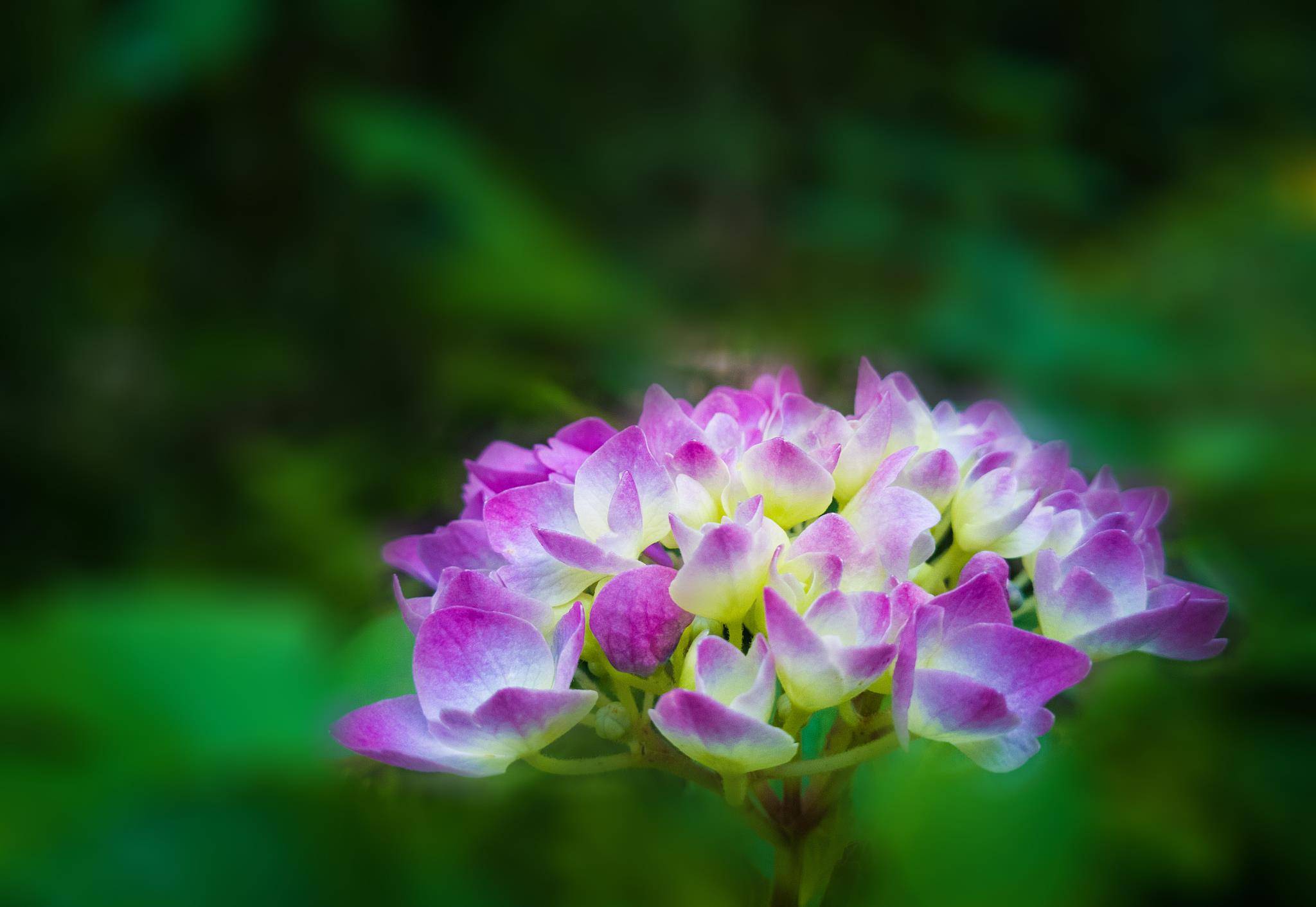 c6854a595a7049bca5b182f08c6b08a2.jpeg