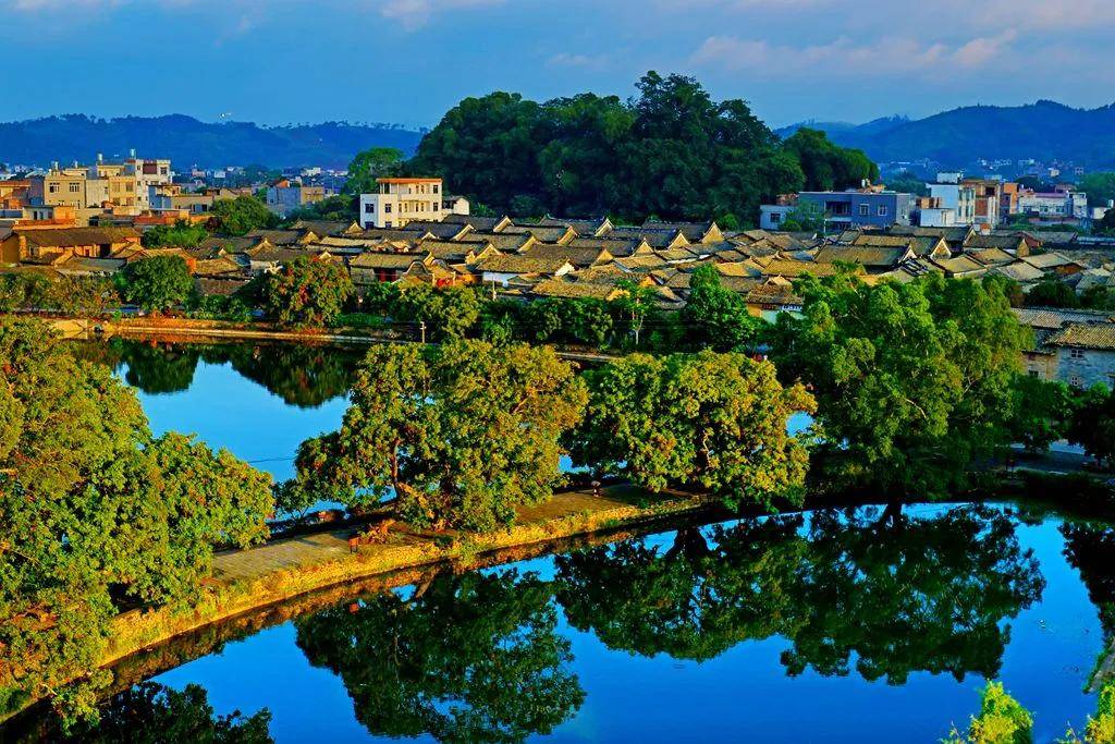 不能摘下最亮的星星那就来钦州摘最新鲜的荔枝吧端午节荔枝游精品线路