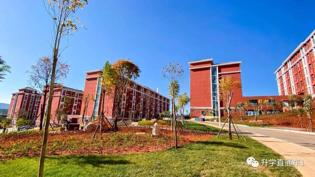大学学院排名_美术学院大学排名(3)