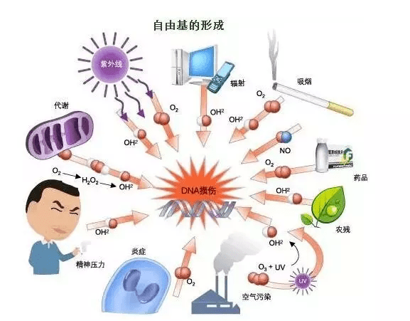 164e0948018a4403b9015dc4731cf4d8.png