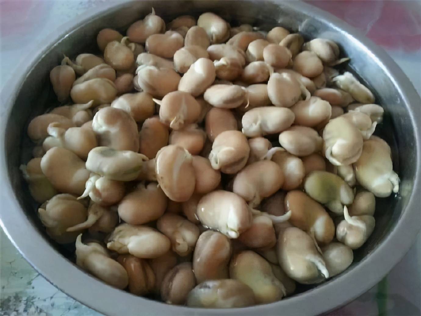 端午的發芽豆 熱愛美食 第3张