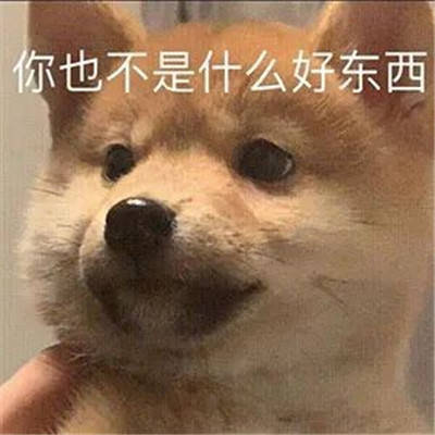 沙雕动物萌宠小表情大全