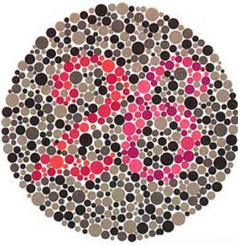 专业版色盲测试图连前3张图都认不清就可以告别开车了