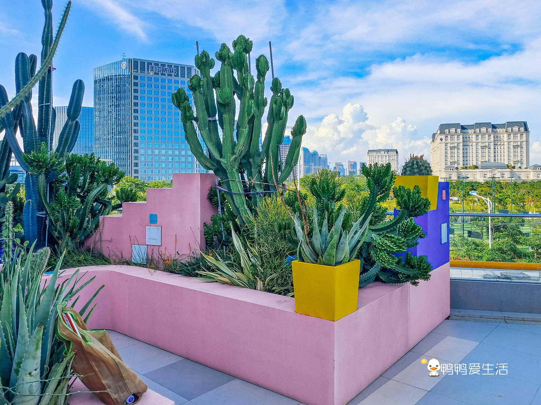 厦门岛外新晋网红打卡地,一路水碧天蓝,海岸线漫长遍布生态公园