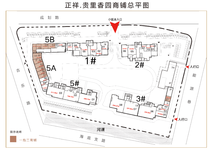 为什么这么多人买?答案全在这【官网】