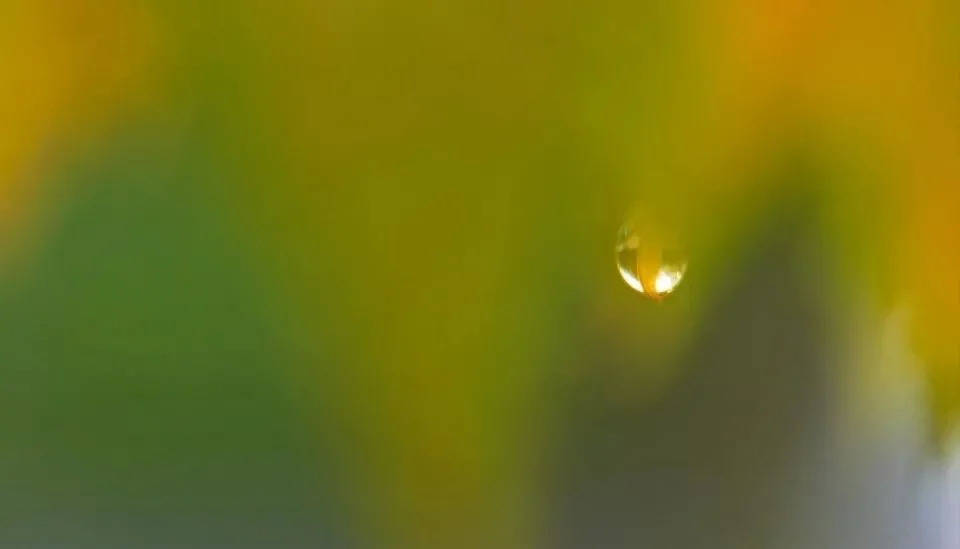 今年618年中大促有变数:成空调价格战“终结者”-家电圈官网