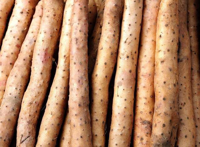 如何挑选优质的铁棍山药 74aaa1ead75040008e0fd8da9ddf2c1f.jpeg