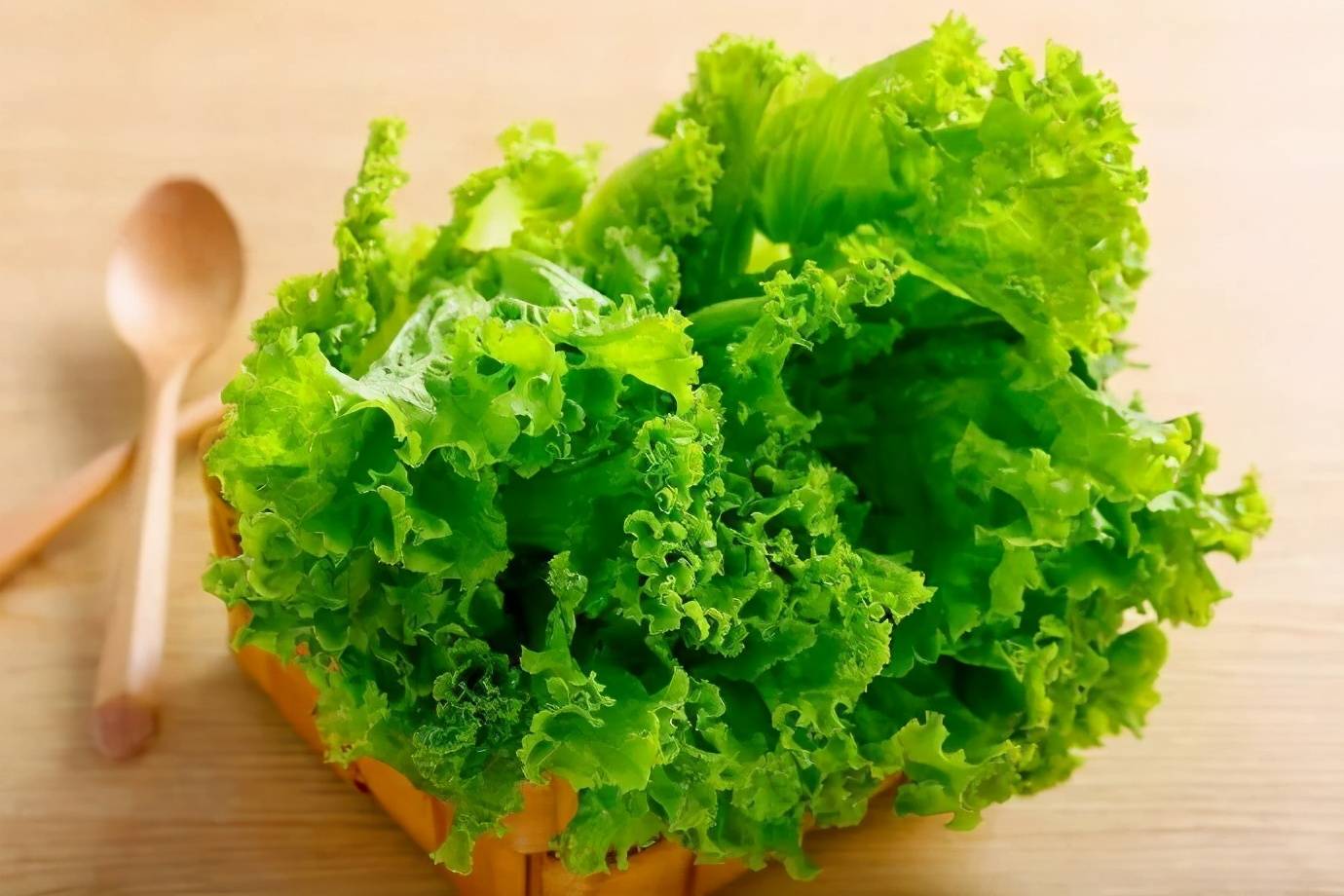 生菜，又叫做雞窩菜 熱愛美食 第3张
