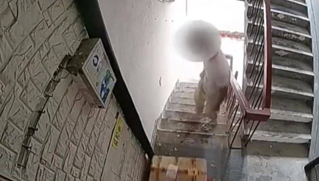 快递面单上写了三个字,男子被气坏:这样的