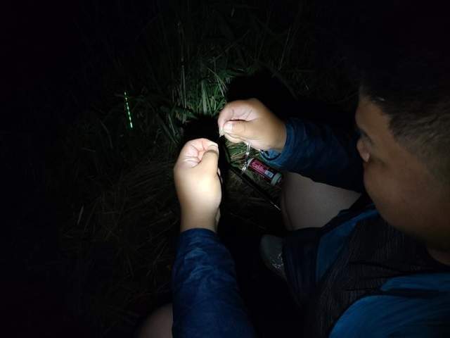 必备|高强度、长续航、夜钓必备单品——傲雷战术手电体验