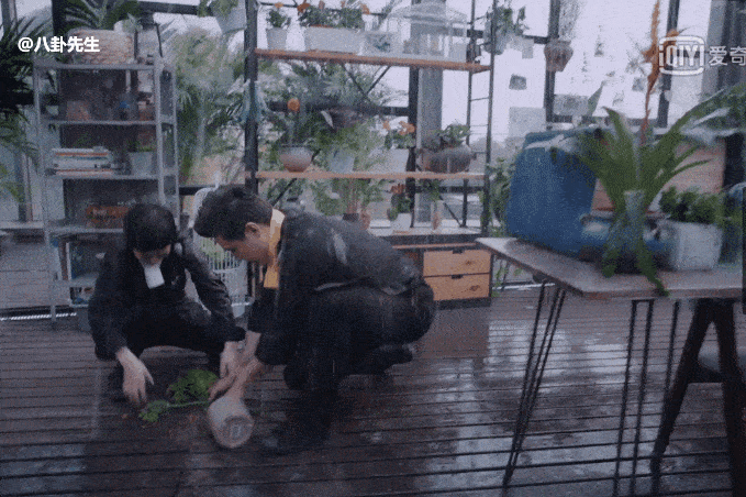 e1e7600fcde54b1594dc6dbd7df5d0b4.gif