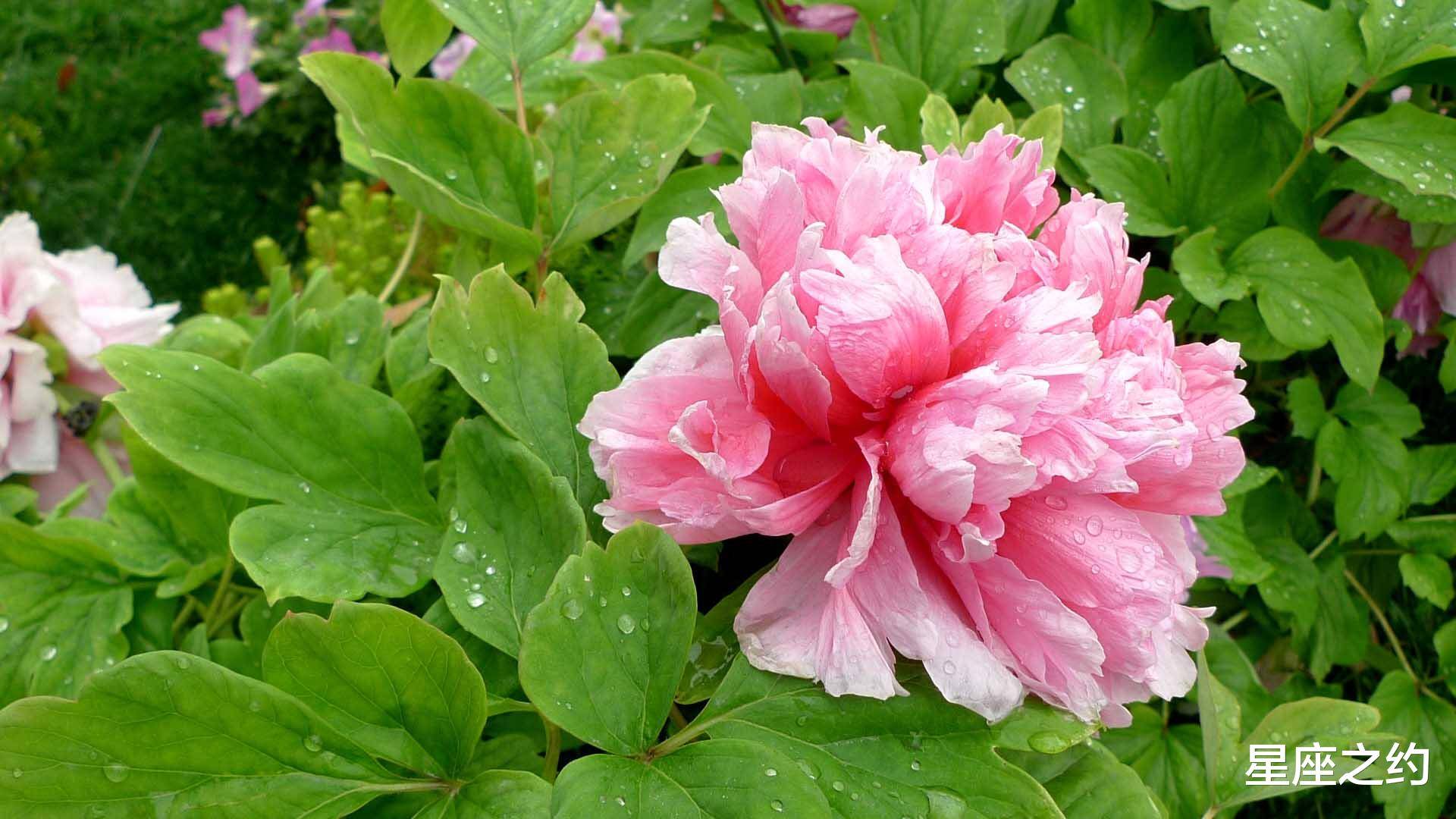 在2021年,贵人相助,柳暗花明,稳操胜券的三大星座