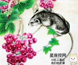 今年是什么年呢属啥的 771eb9760c3e44e6b2eb78ba2660076d.jpeg