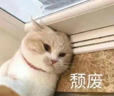 猫咪怎么驱虫啊 12cf2e40787f41ca8c77f81808c2056d.jpeg