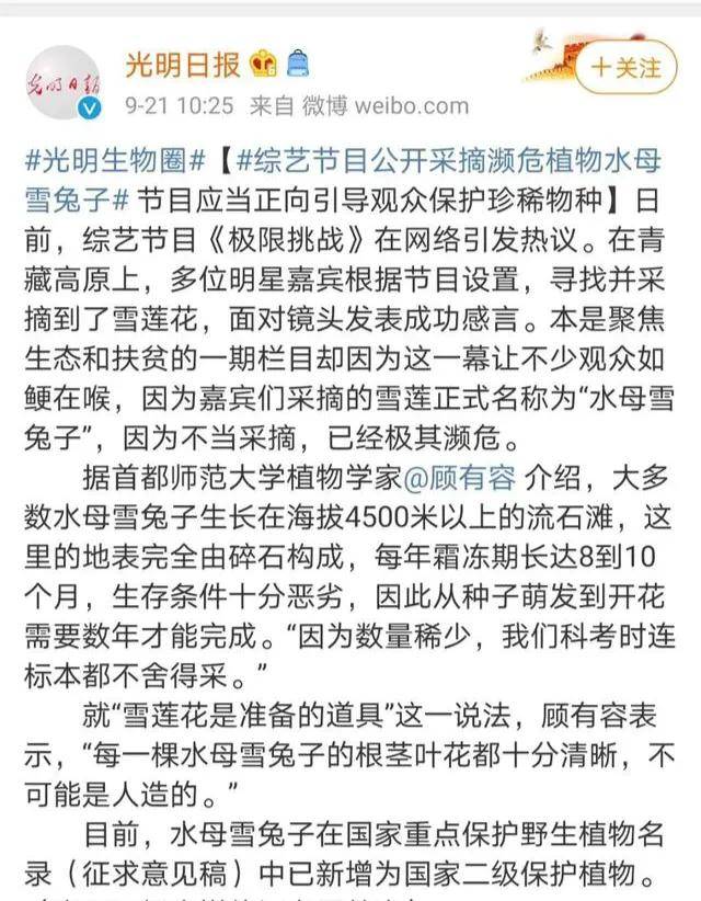 极限挑战简谱_极限挑战