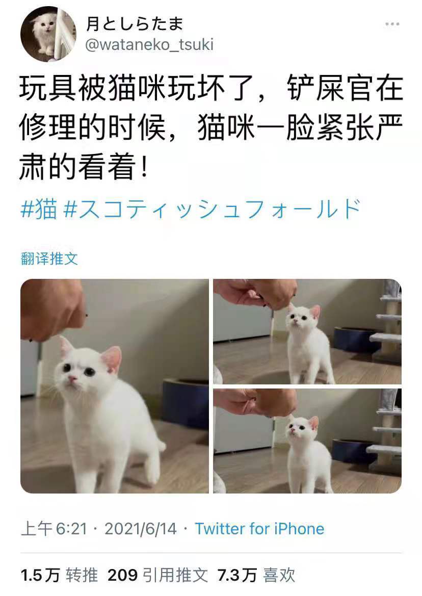 0873e122d4d2423598a27011ef8d960d.jpeg