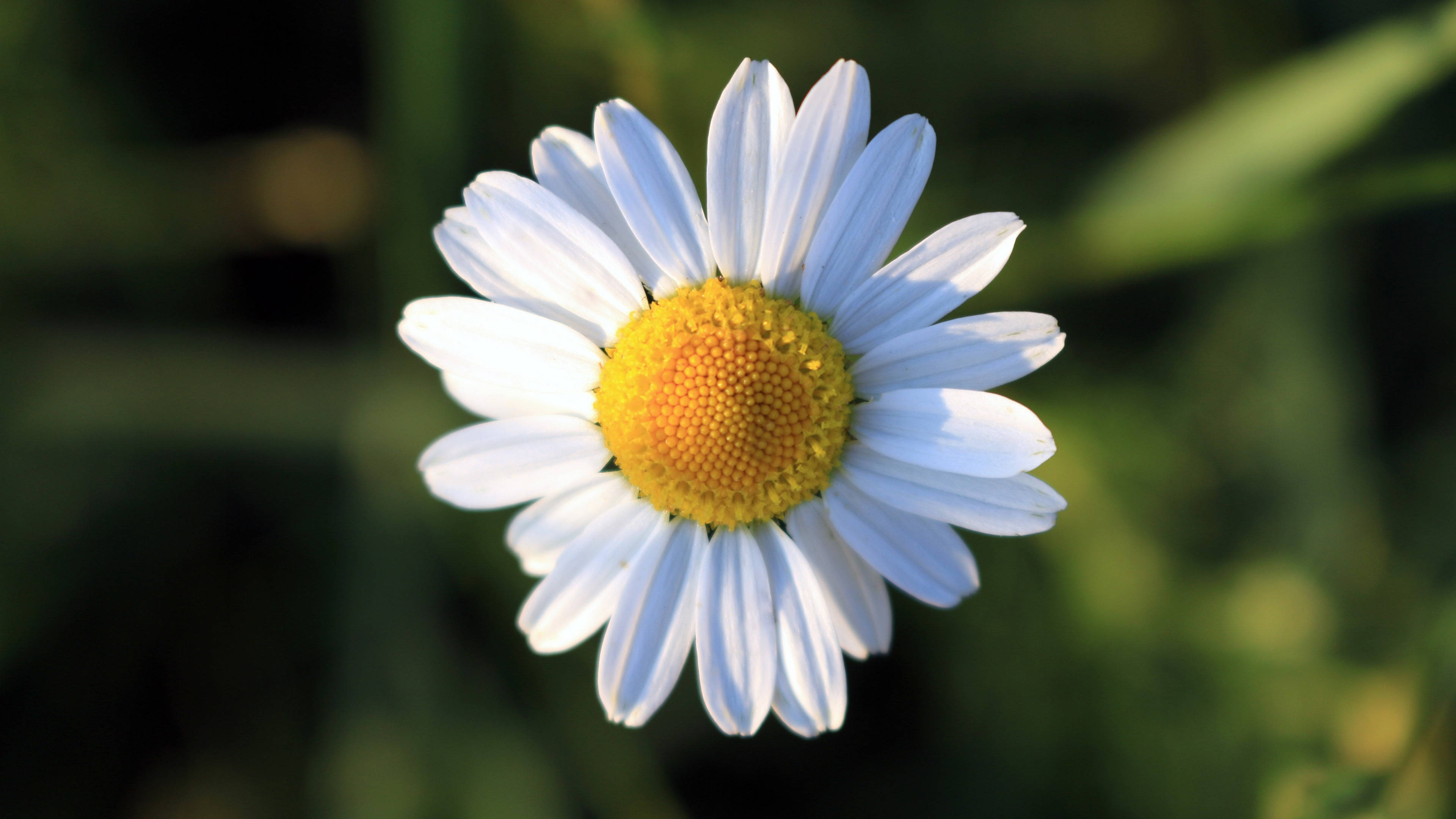 6月17日星座运势 白羊好胜心强 天蝎贵人相助 摩羯大展拳脚 工作