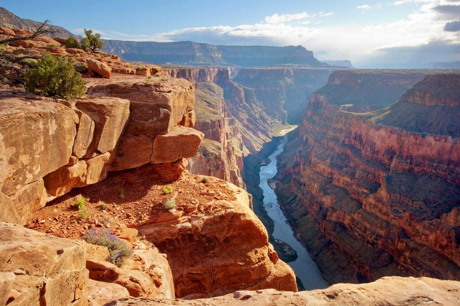 全世界最贵的一张照片，价值3000多万！！|大峡谷|瀑布|羚羊|岩壁
