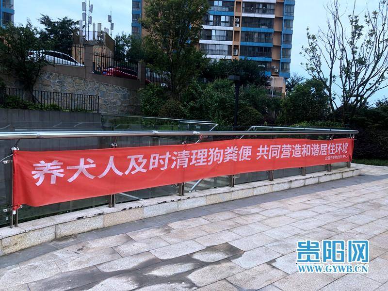 万科公园传奇小区内的养犬宣传横幅云岩区市西河街道办事处市西路居委