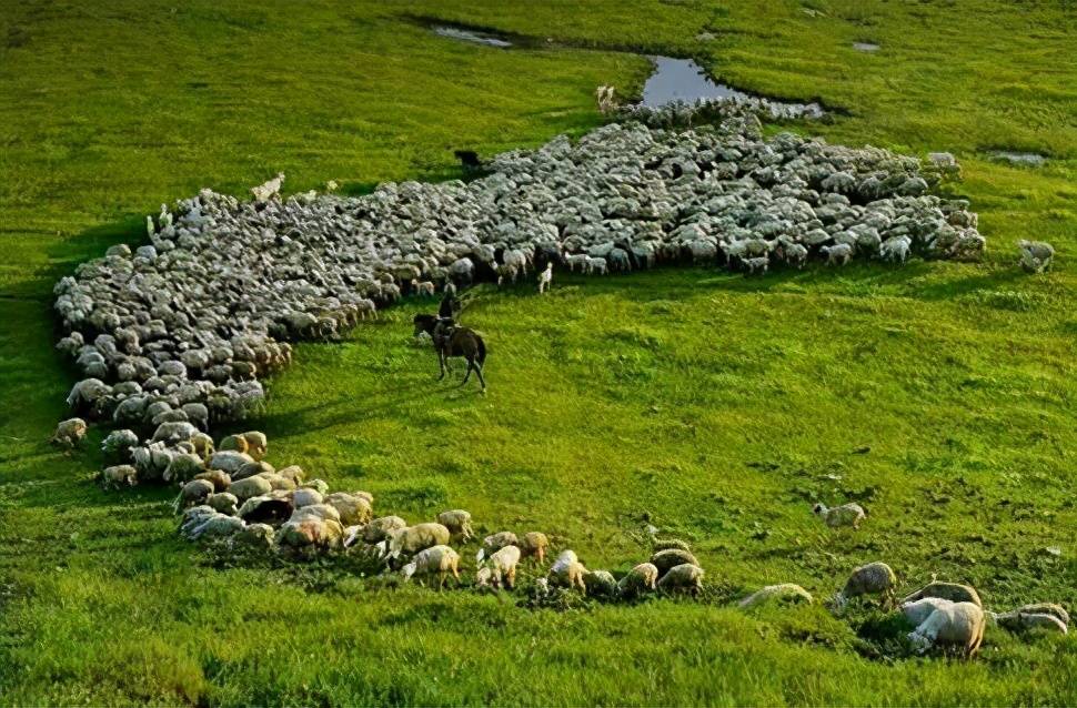 藏在广东的八大草原每一个都是风景美如画你去过吗