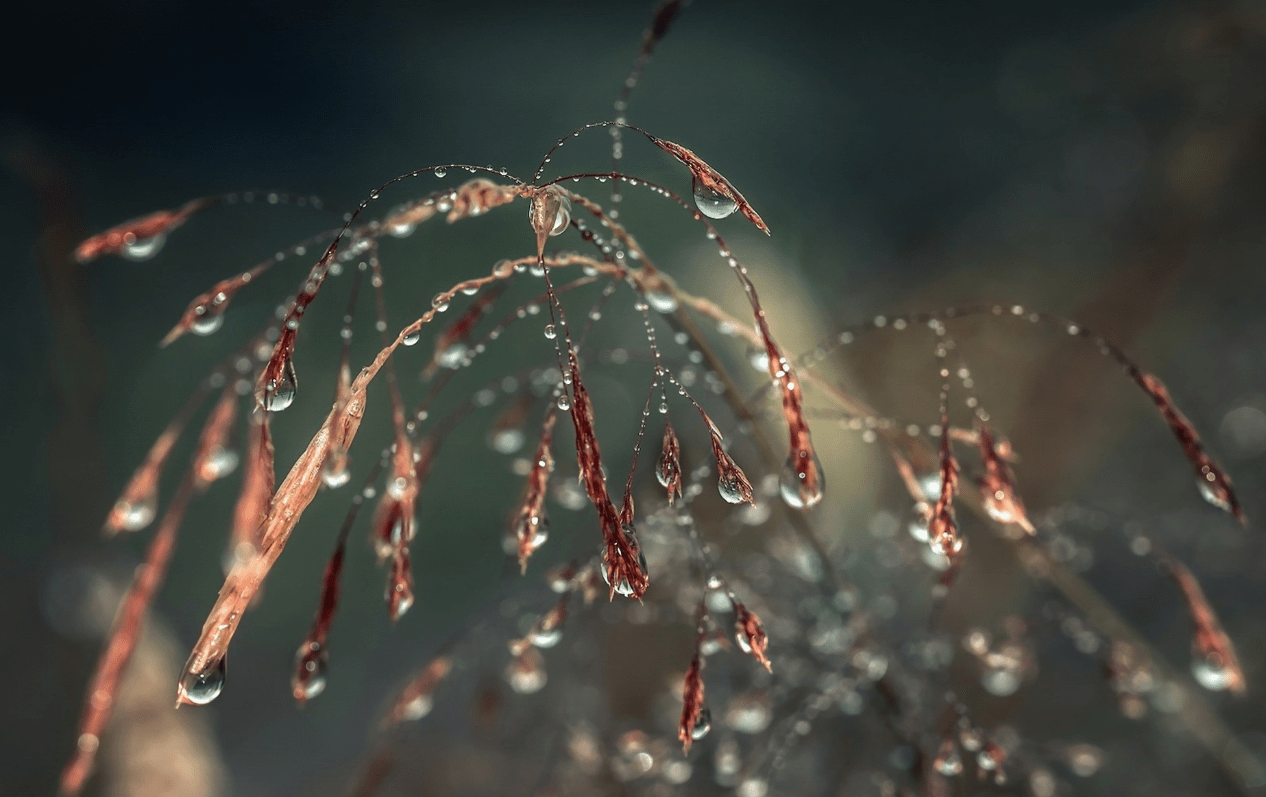 向魔蝎座男表白 假如是魔蝎座男喜欢的魔蝎座会做什么 女生告白摩羯男会怎么样 自媒体热点