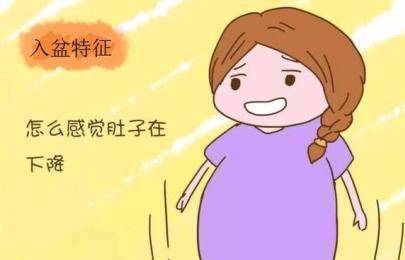 一般多久入盆 4a855ccb749f4d38b26109b252c62aa5.jpeg