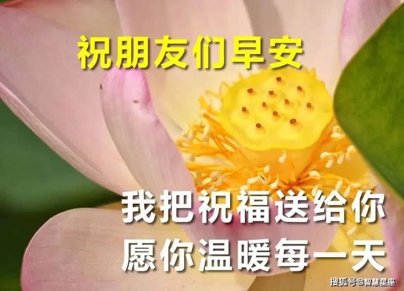 6月19日特漂亮的早上好带字早安祝福图片 早上好早安问候表情图片祝福语 星期六