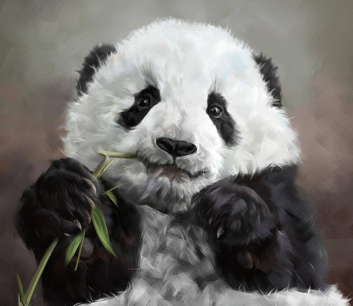 竹林隐士钟情比武招亲唯爱独生子的熊猫却是行走的造粪机器