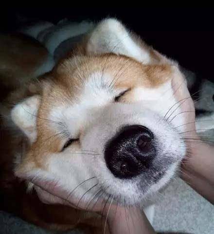 a475fd9ee6b64b69a4ee0b6243009e73.jpeg