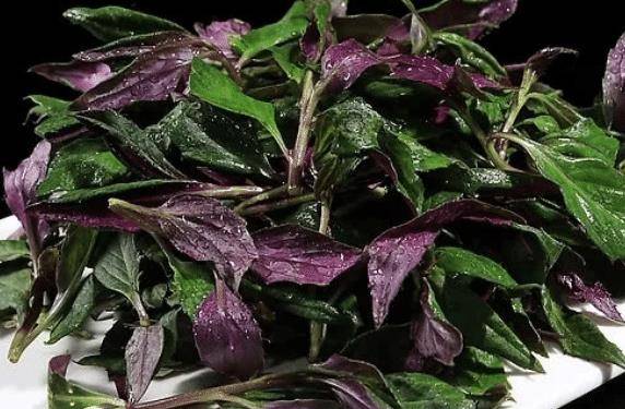 原创它是天然补血菜比阿胶养人女性常吃补血养颜气色更好