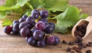 泡泡糖的功效与作用 24fe7efd93f54515af2db49d25b11f00.jpeg