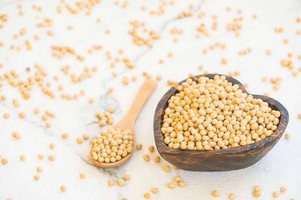 黄豆对卵巢的作用 b4cb25a7e4d146b6a284f5a2e179adff.jpeg