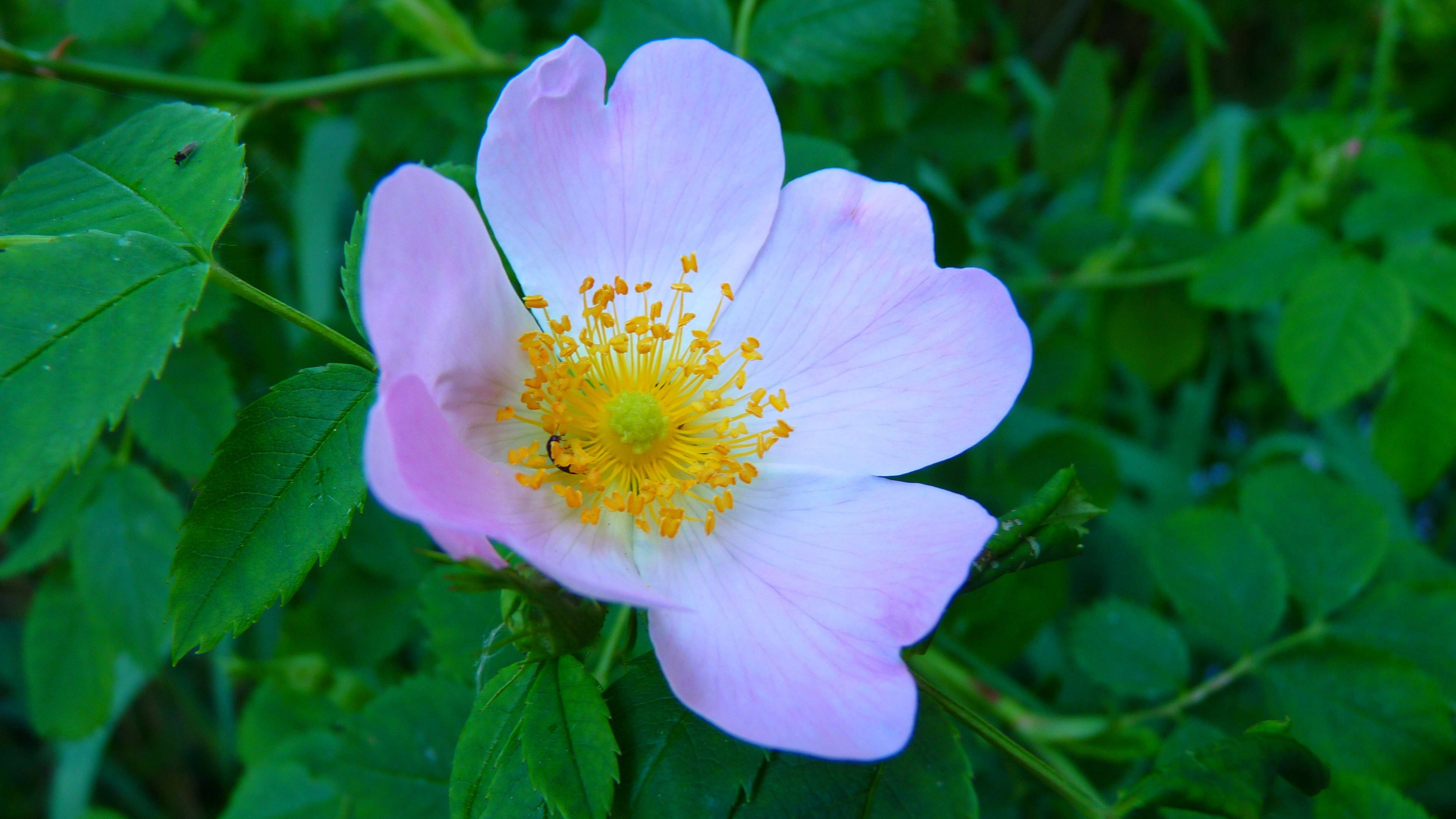 6月21日星座运势 巨蟹谦虚谨慎 天秤明确目标 水瓶保持冷静 工作