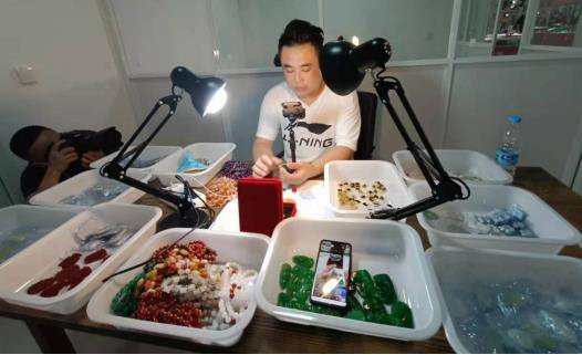 6月21日,中共阜蒙县委书记刘彦鸿在"2021中国观赏石博览会暨中国·十