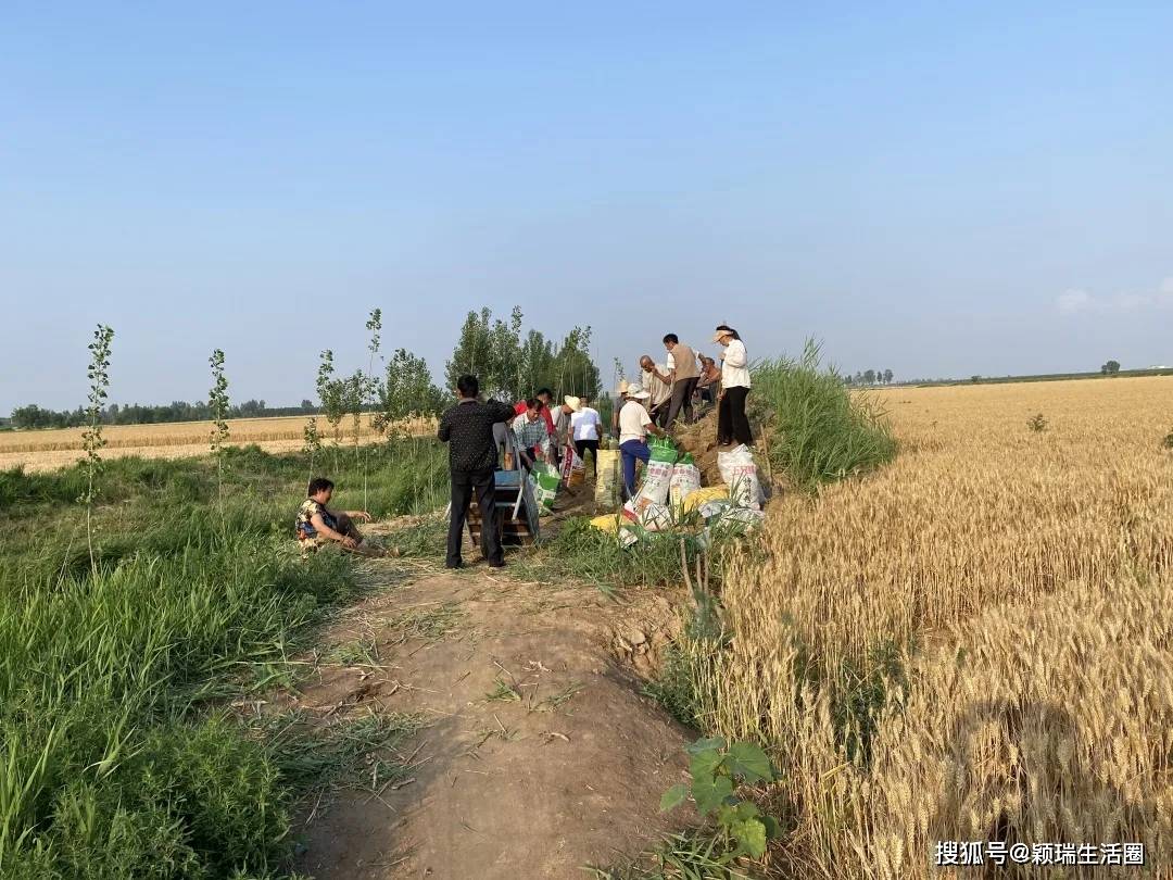 令牌序列号最后一位输不上去