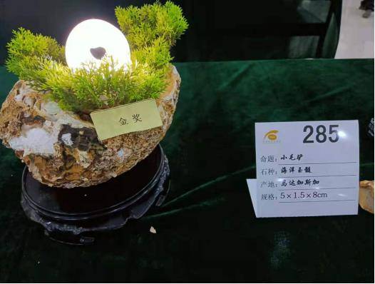 6月21日,中共阜蒙县委书记刘彦鸿在"2021中国观赏石博览会暨中国·十