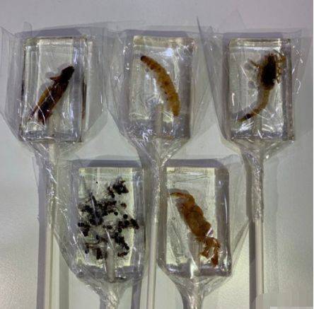 拉粑粑起鸡皮疙瘩咋办(拉粑粑起鸡皮疙瘩咋办呀)