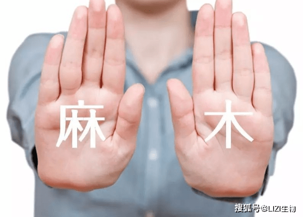吃什么补体液最快最好 db30aaa7d03b435d815e1a8567035c71.png