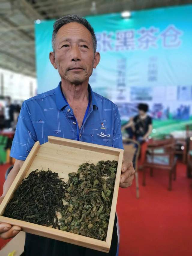 诸城五叶芦丁茶,真正的野山茶