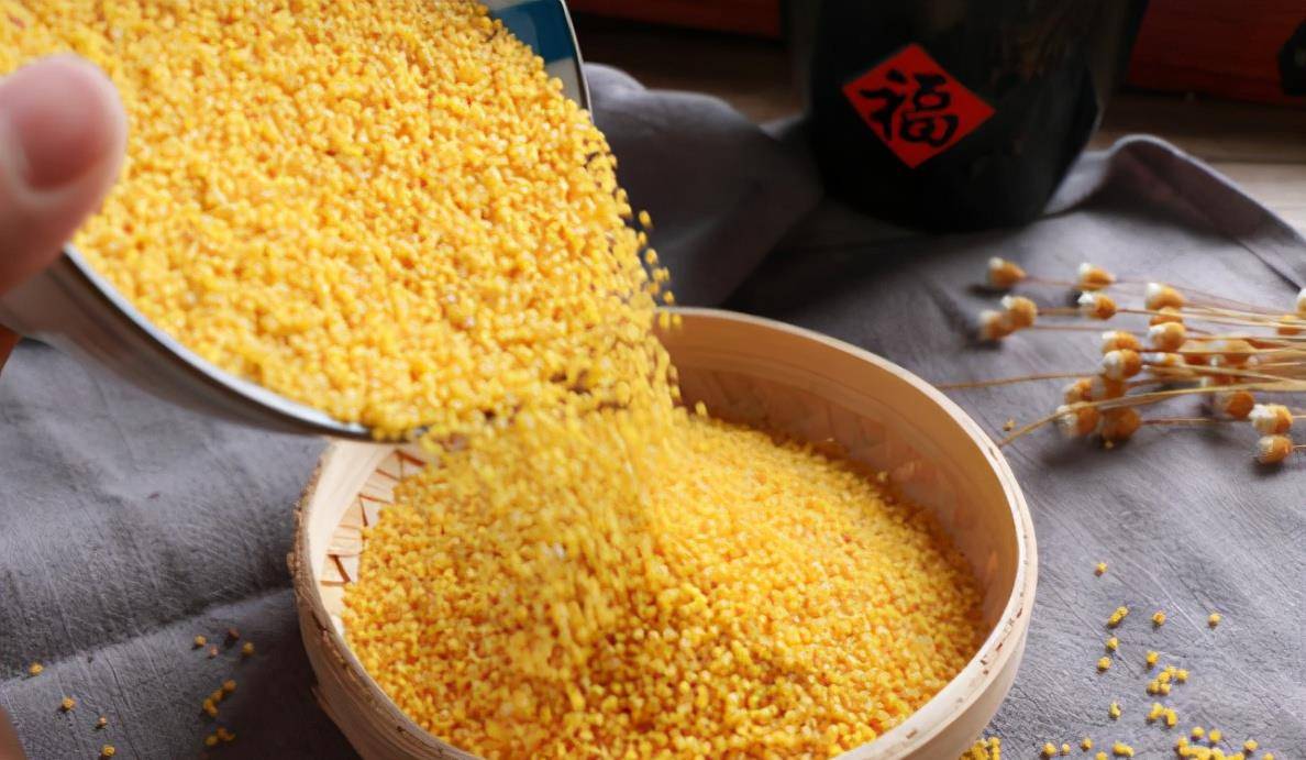 小米是什么粮食作物 52ec73d648c44059a46d1600367c3f7d.jpeg