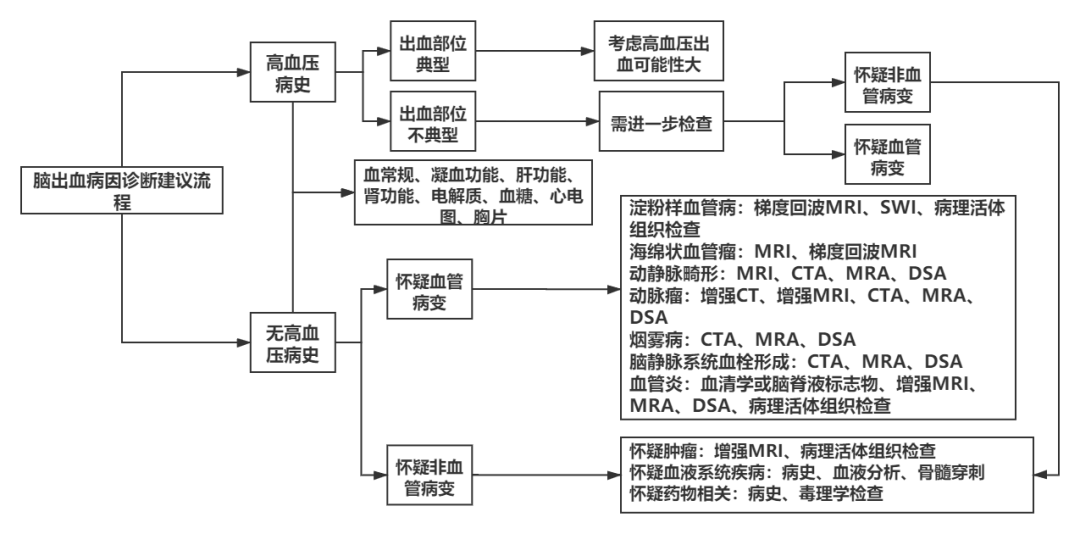 脑出血病因诊断建议流程