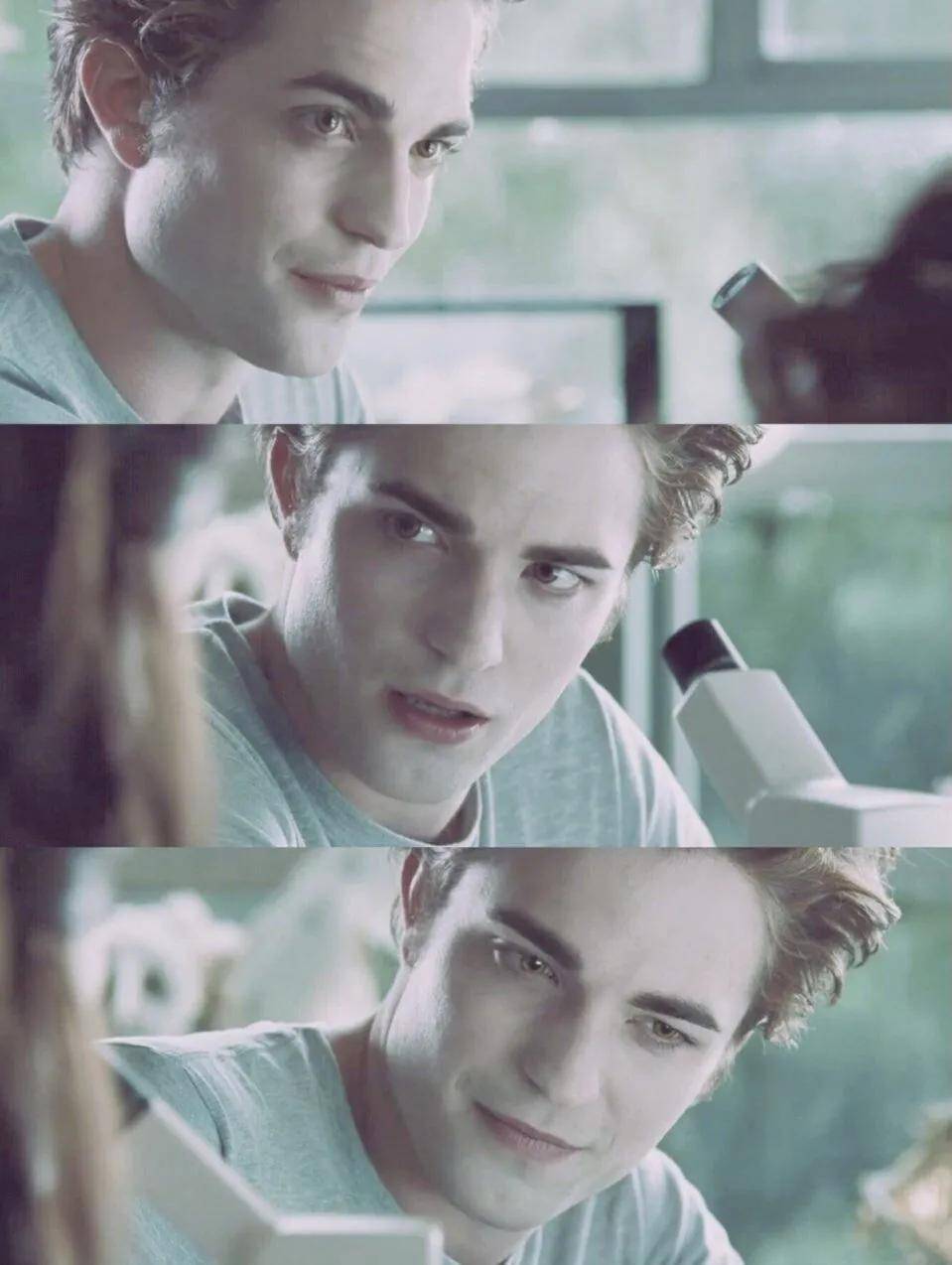 暮光之城•暮色：人与吸血鬼的禁忌之恋_搜狐网, image size:959x1274