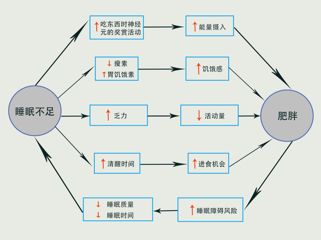 原创
经常熬夜更易缺啥营养?营养师都没猜全
熬夜如何危害健康?为什么熬夜容易胖人呢?熬夜容易缺乏哪些营养素?经常熬夜如何补充营养?小结