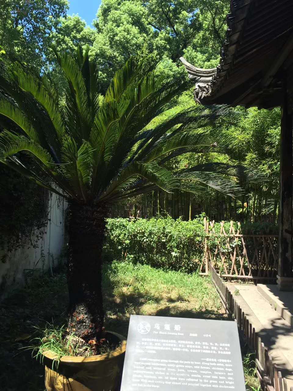 紹興魯迅故居一日遊