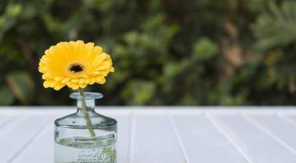 几个月可以添加核桃油 641aab04dd6647c68b4d1b30e5553140.jpeg